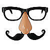 Brille-Nase